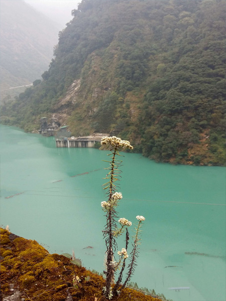 Sikkim Sikkim